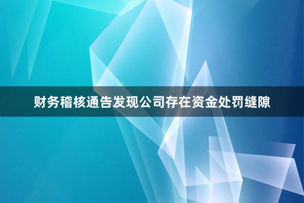 财务稽核通告发现公司存在资金处罚缝隙